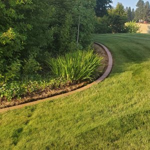 Curved Edging
